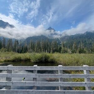 Meet your Posher, Walker